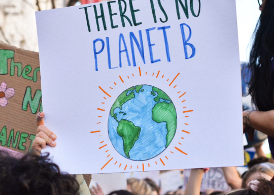 There is No Planet B placard held at a protest
